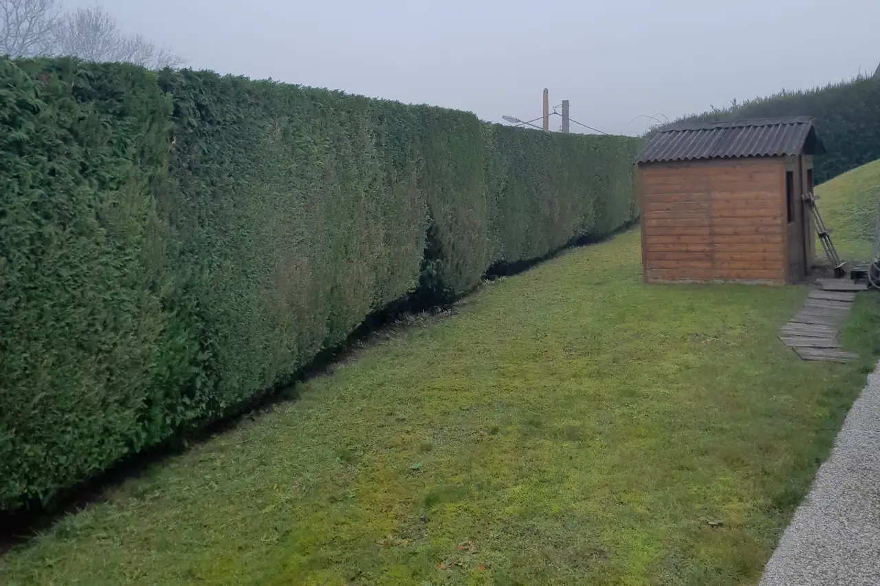 entretien d'un jardin avec une maisonnette en bois